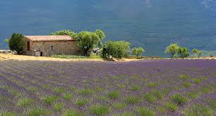 le provence