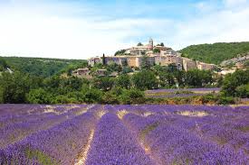 provence region