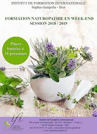 naturopathe formation
